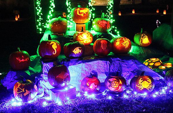 Residents of Los Alamos will proudly display their carved pumpkins, using Pumpkin Masters tools, later that evening in the Los Alamos Arts Council's annual Pumpkin Glow event. Photo credit: Lauren McDaniel