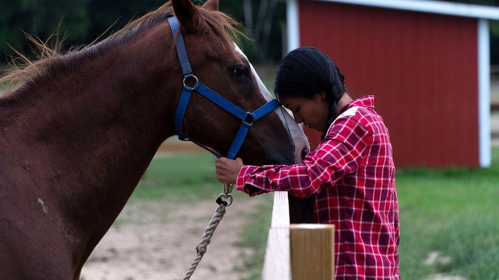 "Horse Camp: A Love Tail" Available May 19, 2020, on DVD and VOD